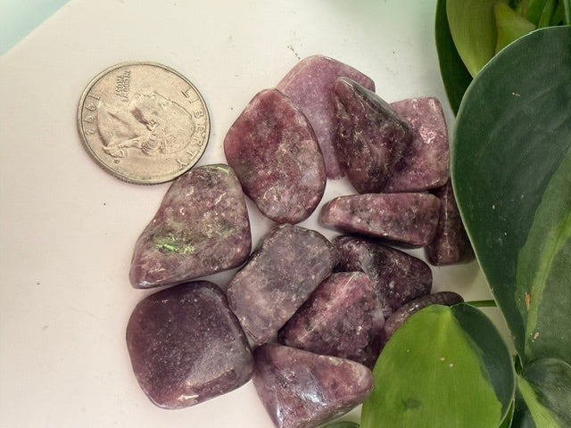 Tumbled Lepidolite