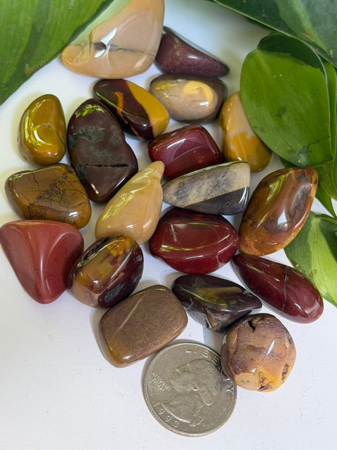 Tumbled Mookaite