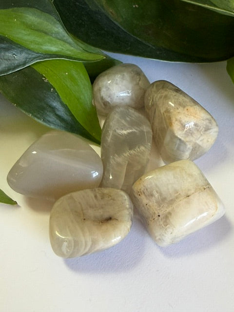 Tumbled Moonstone Black