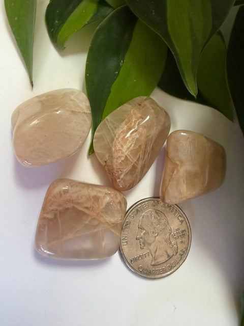 Tumbled Moonstone Orange
