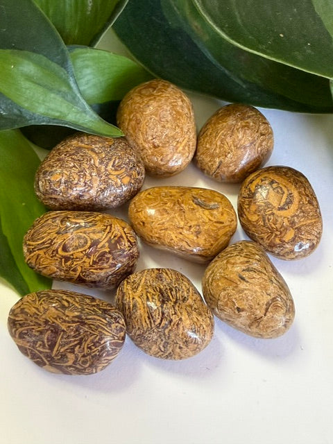 Tumbled Jasper Miriam