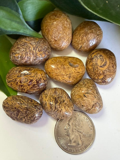 Tumbled Jasper Miriam