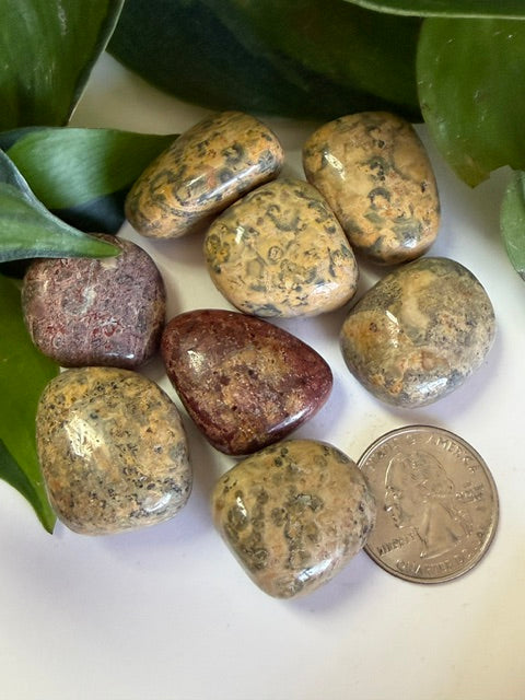 Tumbled Jasper leopard skin