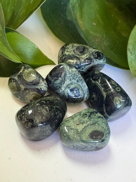 Tumbled Jasper Kambaba