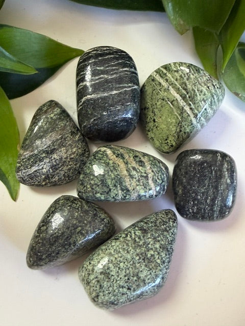 Tumbled Jasper Green zebra