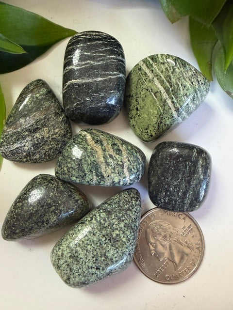 Tumbled Jasper Green zebra