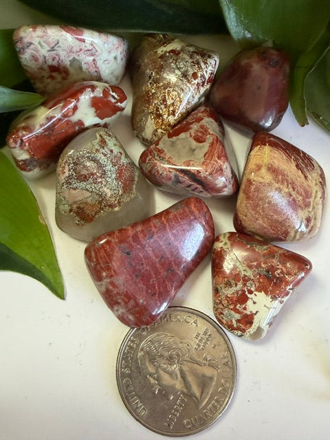 Tumbled Jasper Brecciated