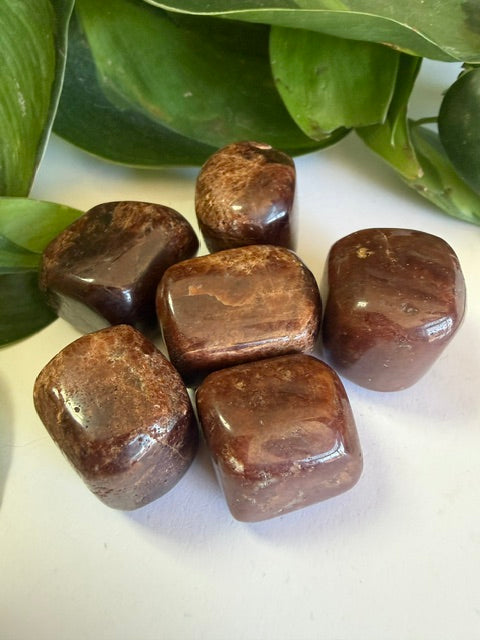 Tumbled and Rough Garnet