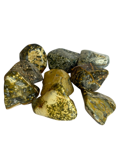 Tumbled Jasper Ocean (Orbicular)