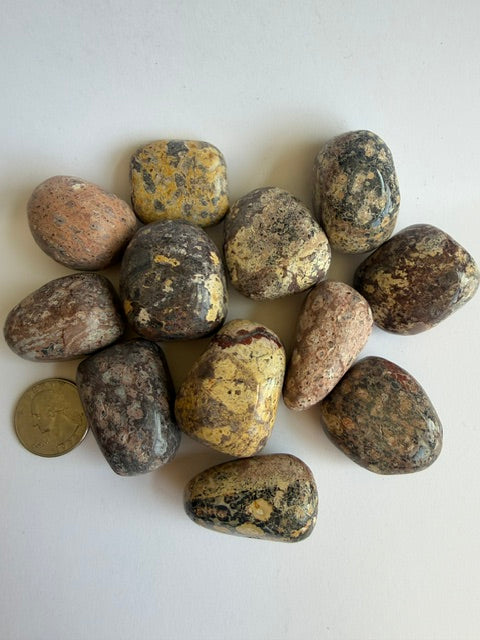 Tumbled Jasper leopard skin