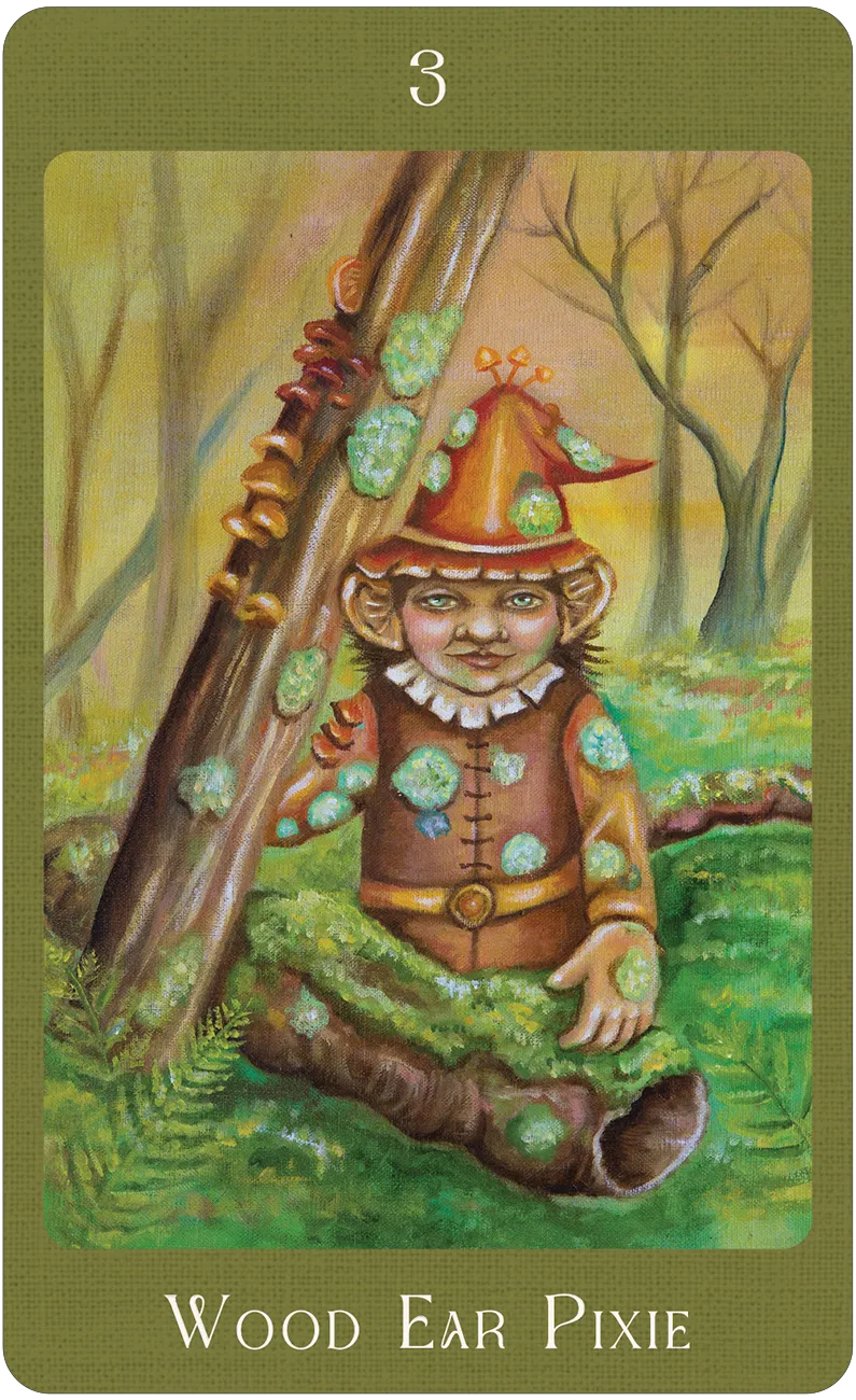 Mushroom Folk Oracle