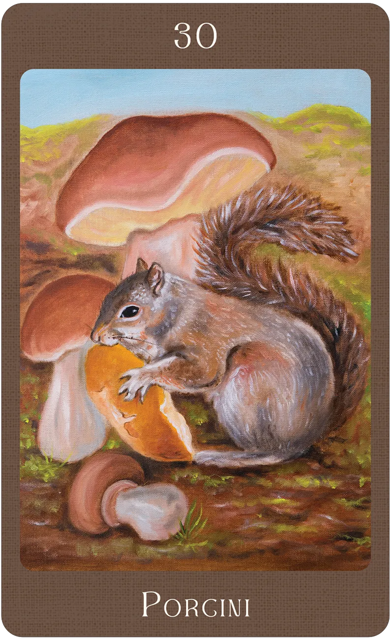 Mushroom Folk Oracle