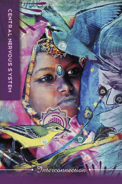 Body Cards : Insight from the Body, Wisdom for the Soul (Oracle Kit Box Set with 35 Cards and Guide Book) By Courtney Putnam