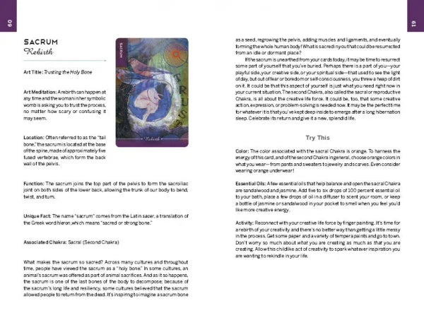 Body Cards : Insight from the Body, Wisdom for the Soul (Oracle Kit Box Set with 35 Cards and Guide Book) By Courtney Putnam