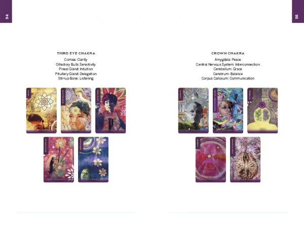 Body Cards : Insight from the Body, Wisdom for the Soul (Oracle Kit Box Set with 35 Cards and Guide Book) By Courtney Putnam