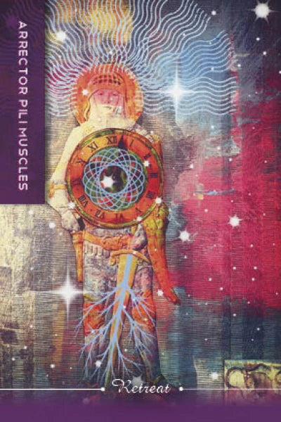 Body Cards : Insight from the Body, Wisdom for the Soul (Oracle Kit Box Set with 35 Cards and Guide Book) By Courtney Putnam
