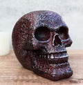 Rustic Corroded Dark Bronze Metallic Finish Skull