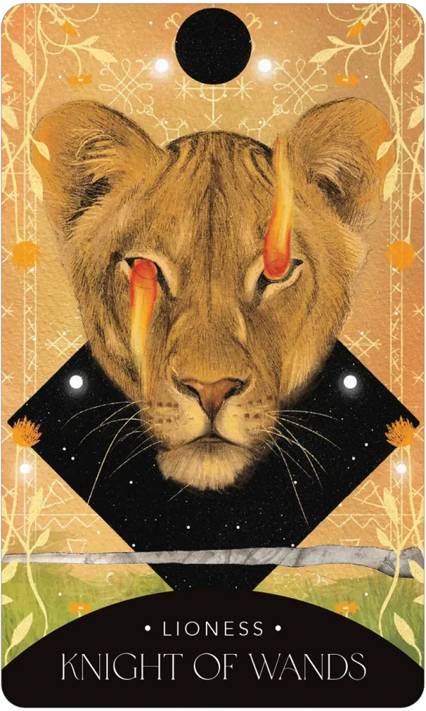 The Symbolic Tarot: Mythic Meanings within Everyday Objects