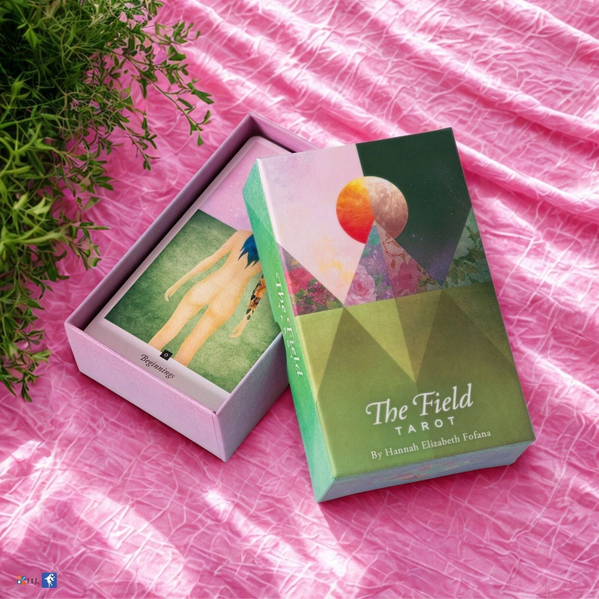The Field Tarot box opened with a sample card