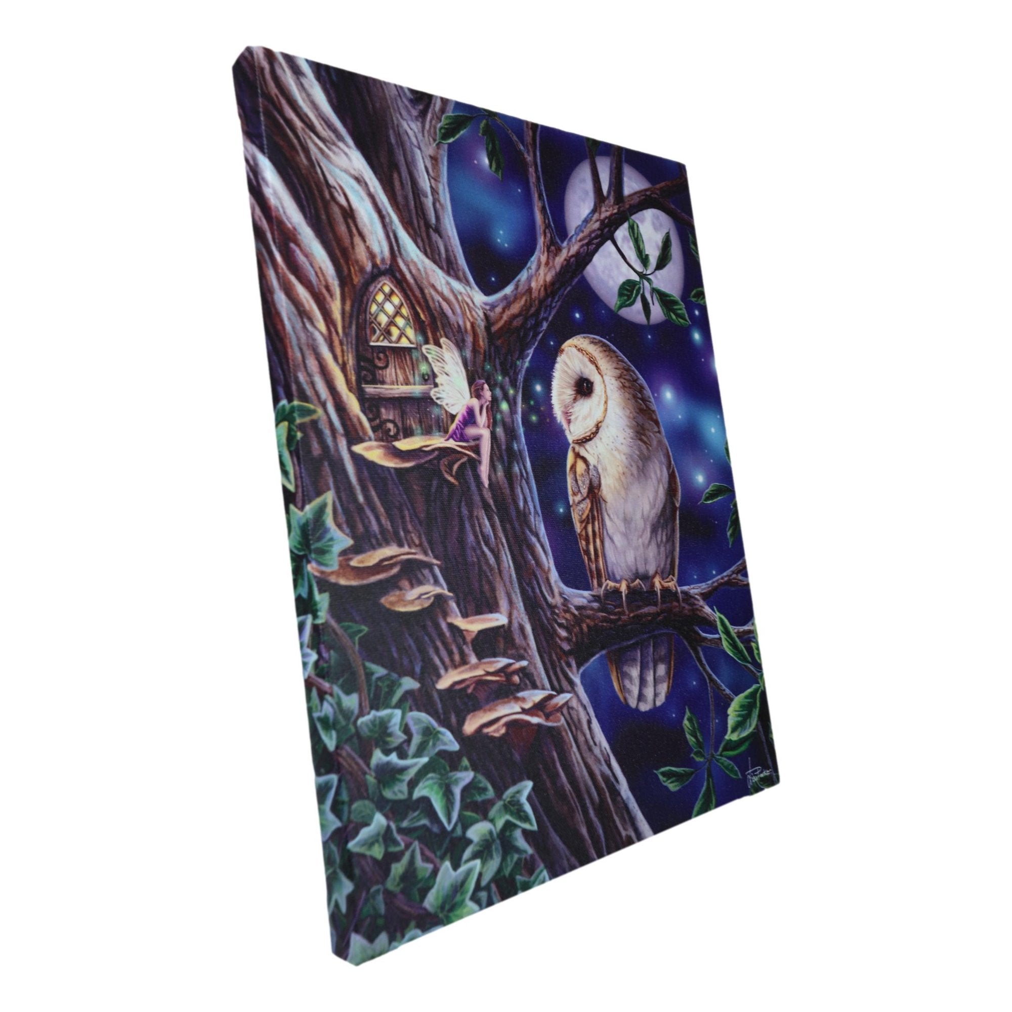Fairy Tales Pixie Tree House With Witch Owl Canvas Framed Wall Art Wall Plaque - Anne Stokes - 7.5" W x 9.85"
