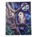 Fairy Tales Pixie Tree House With Witch Owl Canvas Framed Wall Art Wall Plaque - Anne Stokes - 7.5" W x 9.85"