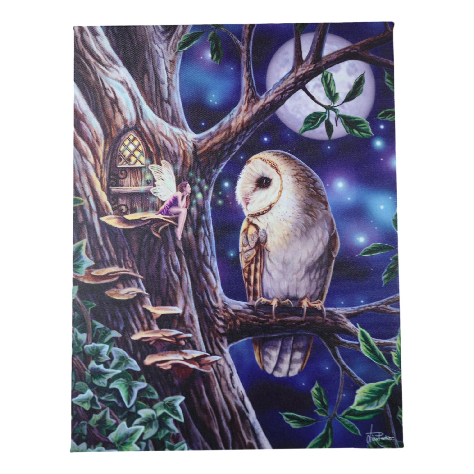 Fairy Tales Pixie Tree House With Witch Owl Canvas Framed Wall Art Wall Plaque - Anne Stokes - 7.5" W x 9.85"