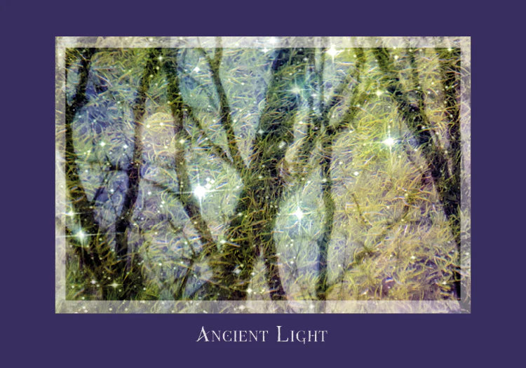 Gaia's Vision Oracle Cards : (Oracle Kit Box Set with 40 Cards and Guide Book) By Susan Starr and Photographs by Doris Diamond