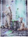 Hubble Hubble Cat And Kittens Magic Cauldron Canvas Framed Wall Art Wall Plaque - Lisa Parker - 7.5" W x 9.85"