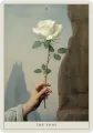 Haptic Tarot