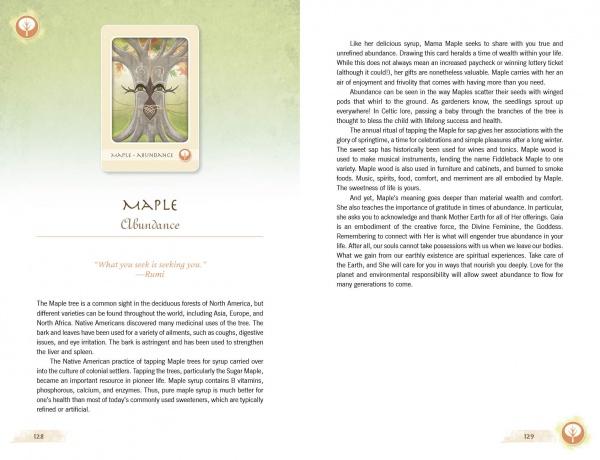 The Herbal Healing Deck : (Oracle Kit Box Set with 48 Cards and Guide Book) By Sarah Baldwin and Illustrated by Ashley Verkamp