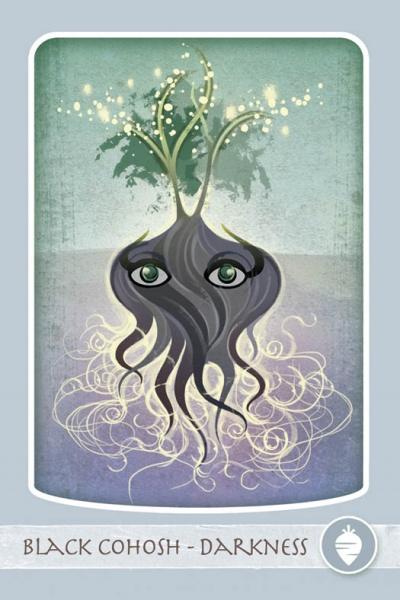 The Herbal Healing Deck : (Oracle Kit Box Set with 48 Cards and Guide Book) By Sarah Baldwin and Illustrated by Ashley Verkamp