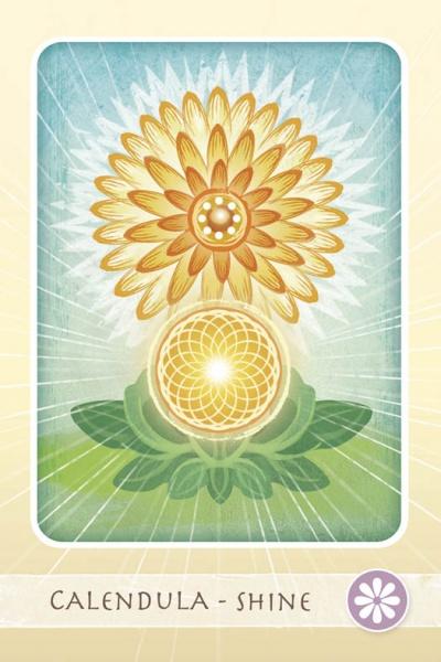 The Herbal Healing Deck : (Oracle Kit Box Set with 48 Cards and Guide Book) By Sarah Baldwin and Illustrated by Ashley Verkamp