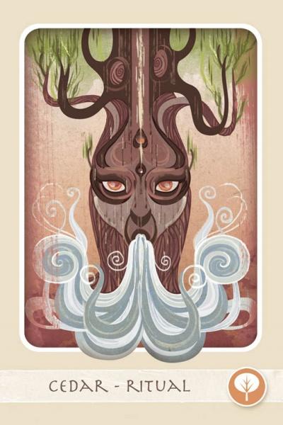 The Herbal Healing Deck : (Oracle Kit Box Set with 48 Cards and Guide Book) By Sarah Baldwin and Illustrated by Ashley Verkamp