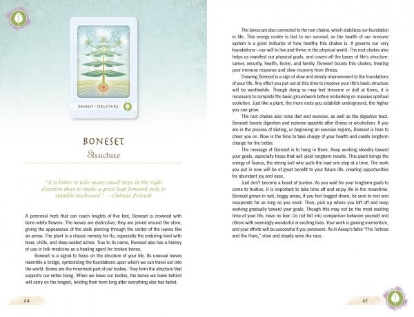 The Herbal Healing Deck : (Oracle Kit Box Set with 48 Cards and Guide Book) By Sarah Baldwin and Illustrated by Ashley Verkamp