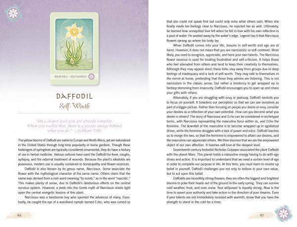 The Herbal Healing Deck : (Oracle Kit Box Set with 48 Cards and Guide Book) By Sarah Baldwin and Illustrated by Ashley Verkamp