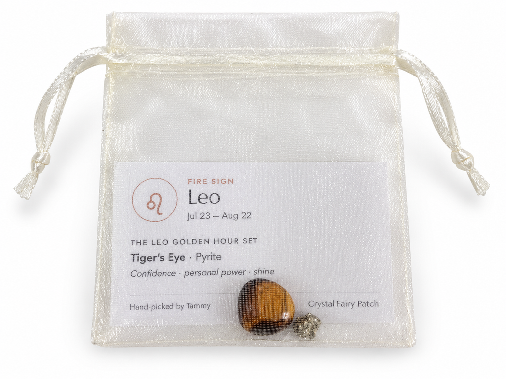 Leo stones and zodiac card inside ivory organza gift bag
