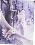 Midnight Messenger White Owl With Fairy Canvas Framed Wall Art Wall Plaque - Anne Stokes - 7.5" W x 9.85"