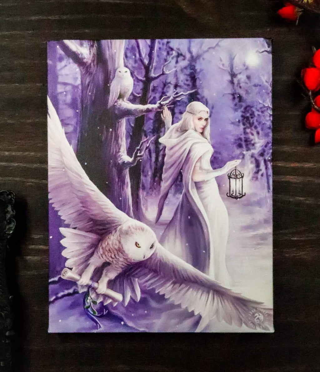 Midnight Messenger White Owl With Fairy Canvas Framed Wall Art Wall Plaque - Anne Stokes - 7.5" W x 9.85"