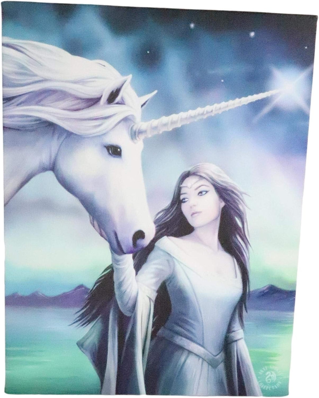 North Star Witch with Unicorn Canvas Framed Wall Art Wall Plaque - Anne Stokes - 7.5" W x 9.85"
