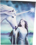 North Star Witch with Unicorn Canvas Framed Wall Art Wall Plaque - Anne Stokes - 7.5" W x 9.85"