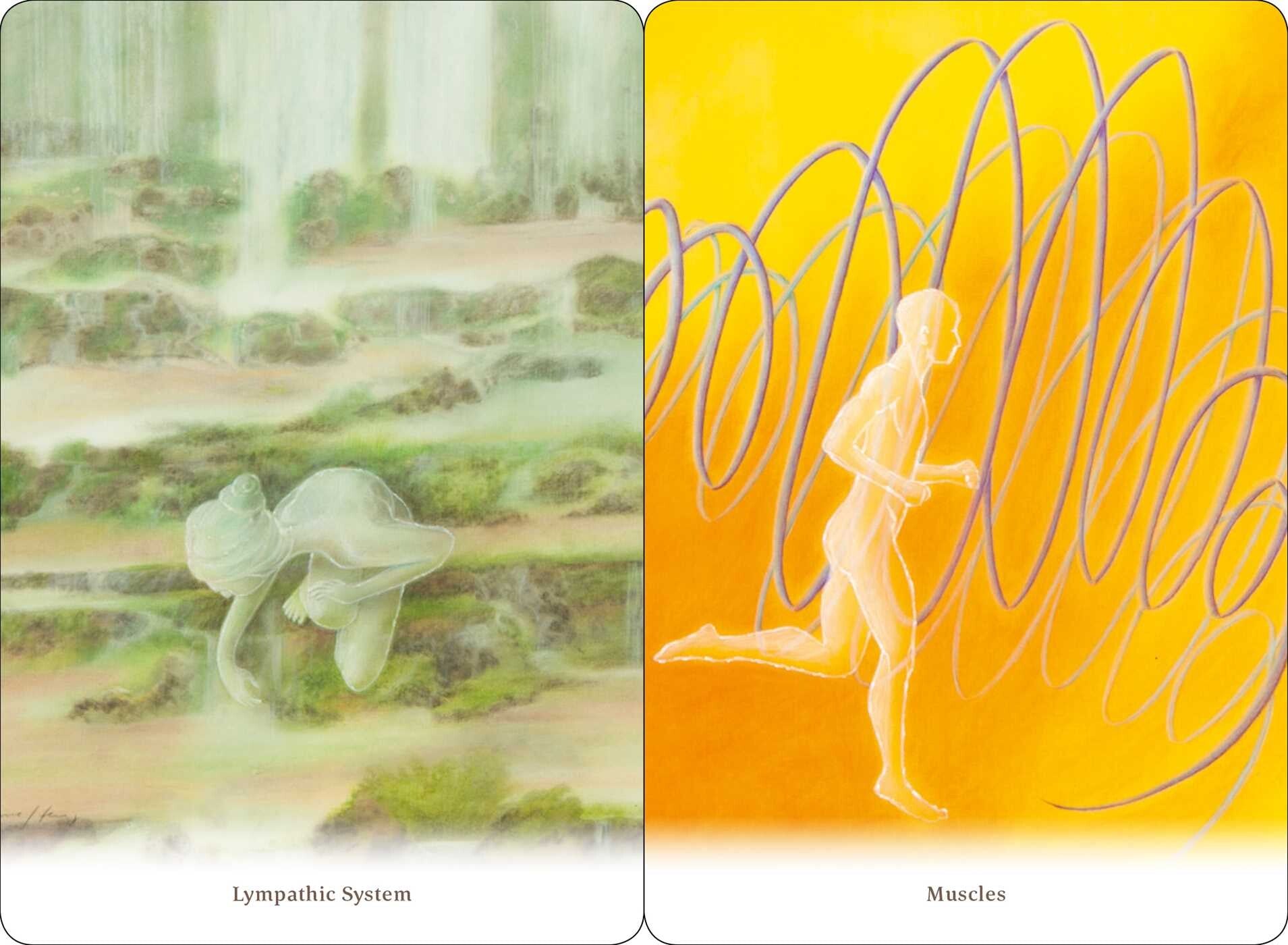 Body Healing Cards