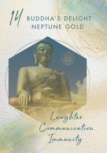 Crystal Sound Healing Oracle A 48-Card Deck and Guidebook with 48 Singing Bowl Audios to Enhance Your Experience