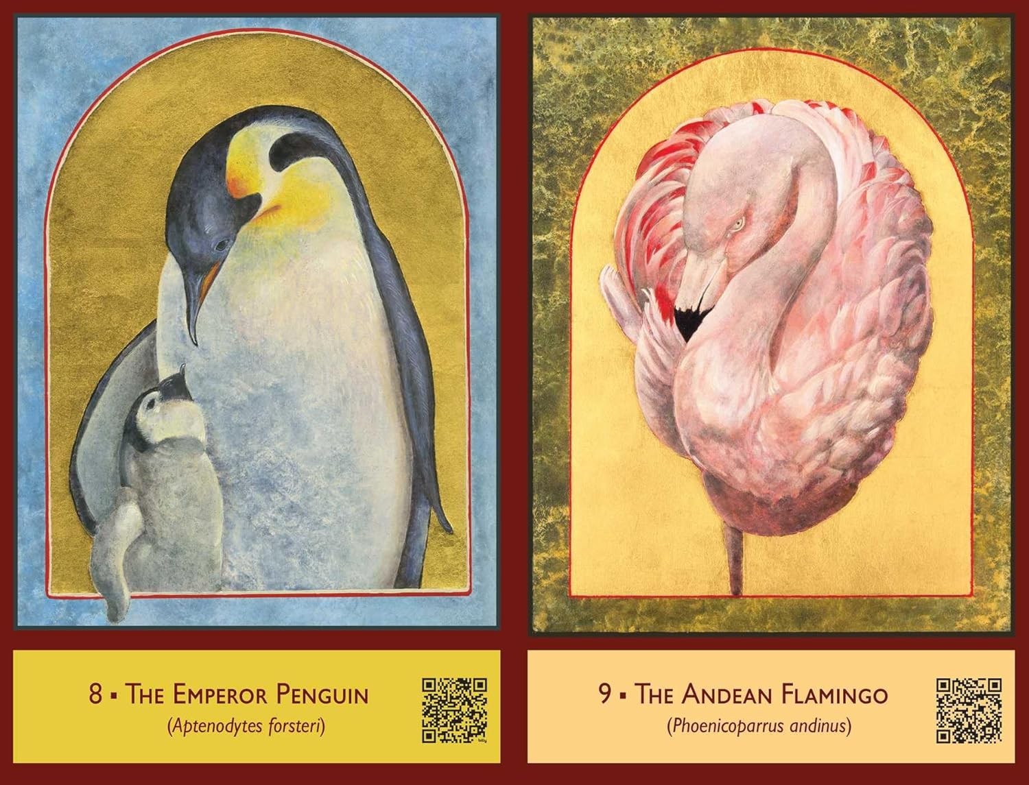 The Sacred Biodiversity Oracle: A 36-Card Deck and Guidebook