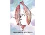 Sisterhood of the Seers Oracle: Daily Inspiration for Living Your Best Life