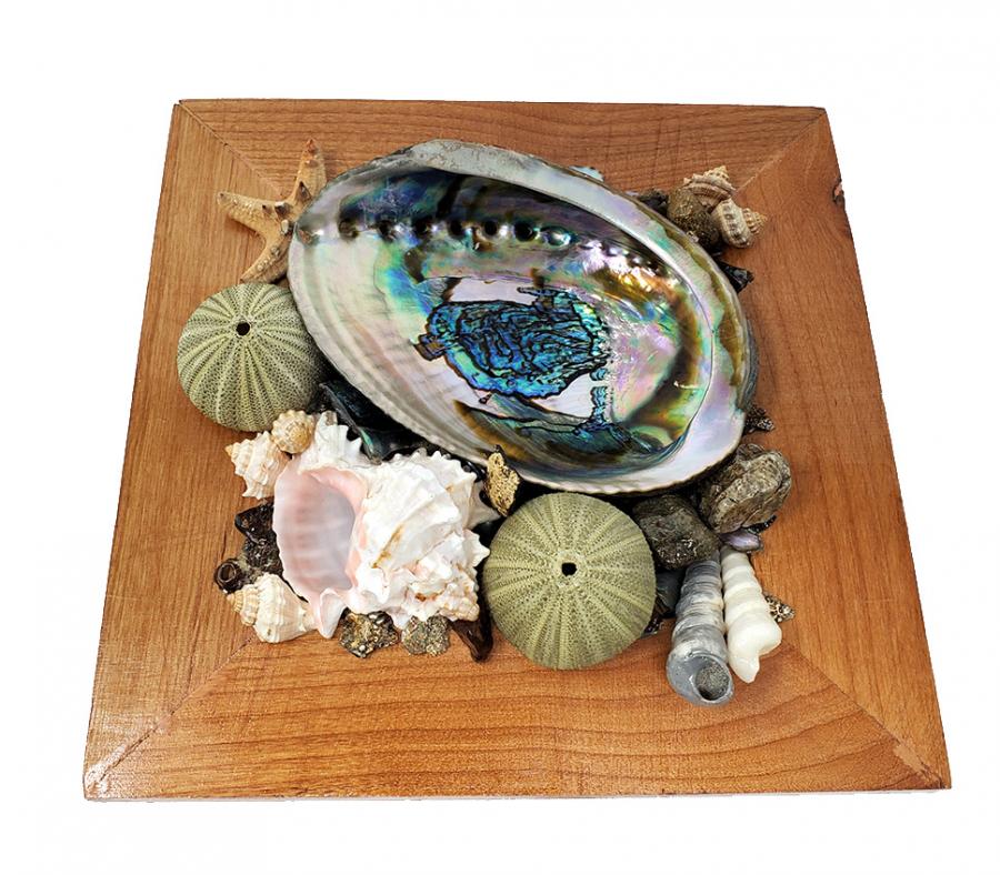 Abalone Shell Smudge Holder/Display Abalone Shell 5-6" on Wood Crate - 9.5"x9.5"x3"