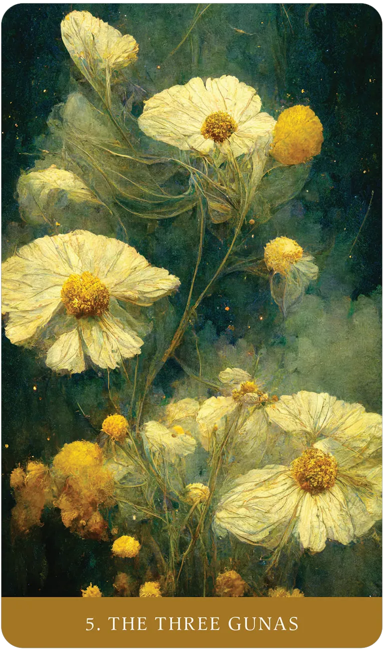 The Path of Light Oracle