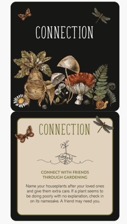 Everyday Spells for Busy Witches Insight Cards