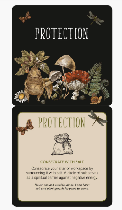 Everyday Spells for Busy Witches Insight Cards