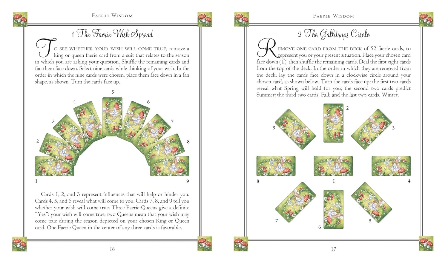 Faerie Wisdom: Includes 52 magical message cards and a 64-page illustrated book