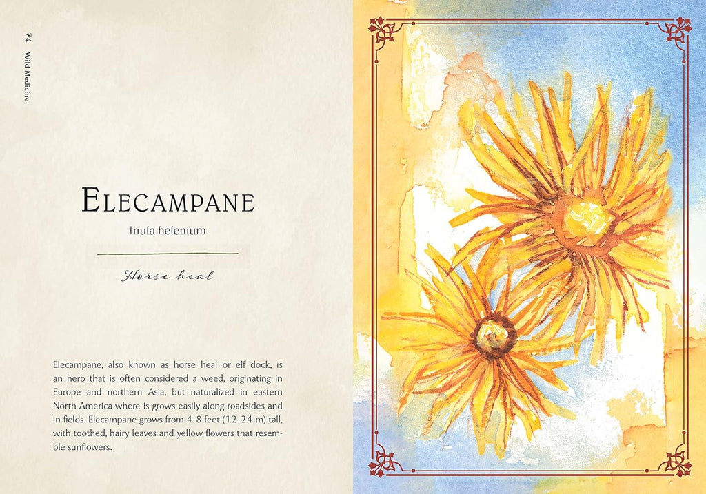 Wild Medicine: Tamed Wild'„¢s Illustrated Guide to the Magick of Herbs (Hardcover)